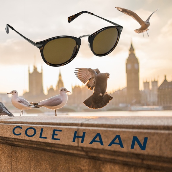 Cole Haan Accessories - Cole Haan CH7051 Women's Sunglasses, Polarized